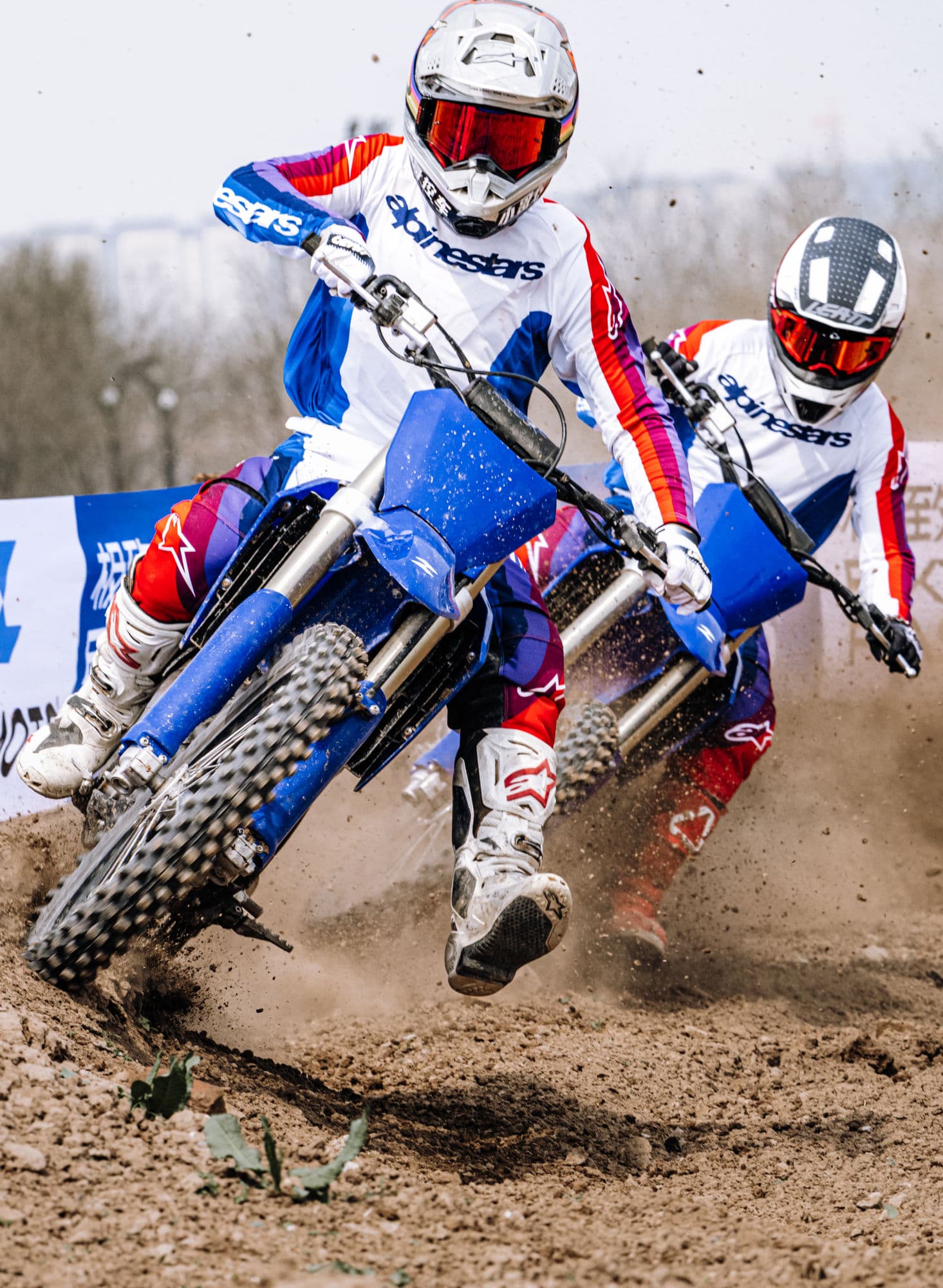 MX250 gallery view 2